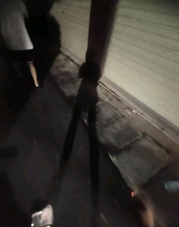 泥黎的照片