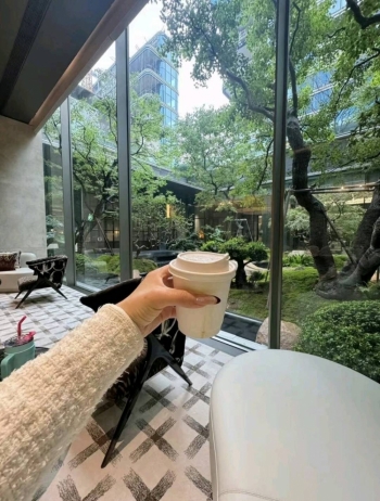 悲伤的浣熊的照片