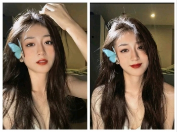 锦宝的照片