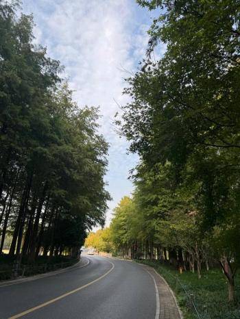 海归钢琴老师的照片