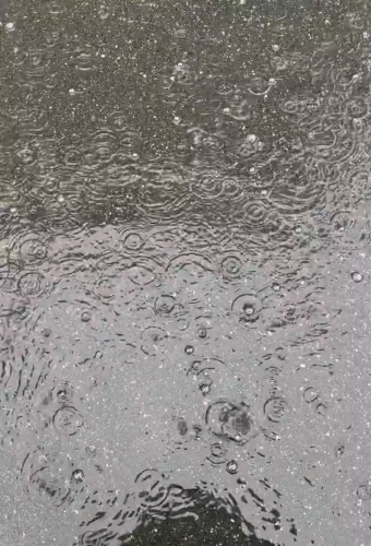 夕晓的照片