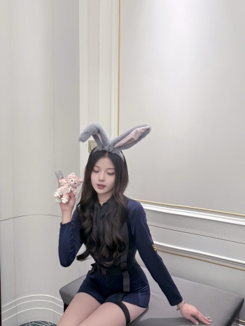 小海豚的照片