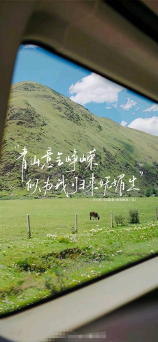 国富论Estelle的照片