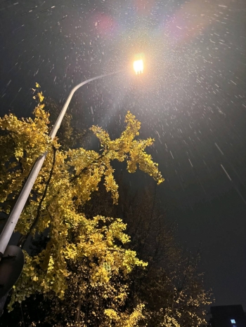 悠雪呀的照片