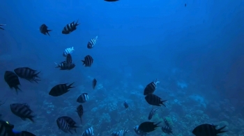 海归钢琴老师的照片