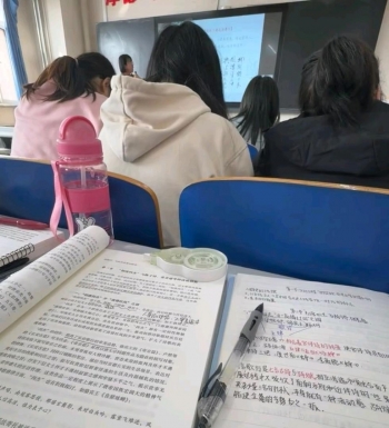萌萌兔兔的照片