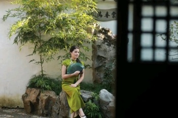 青柚子叶的照片