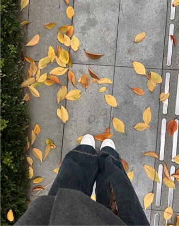 橘子树上的葡萄的照片