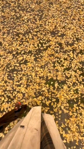 柠檬水加冰的照片