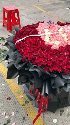 小兔子的照片