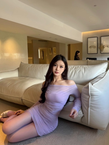 小海豚的照片