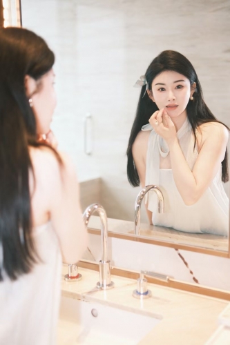 森林木的照片