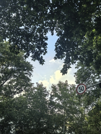 孤蓬万里的照片
