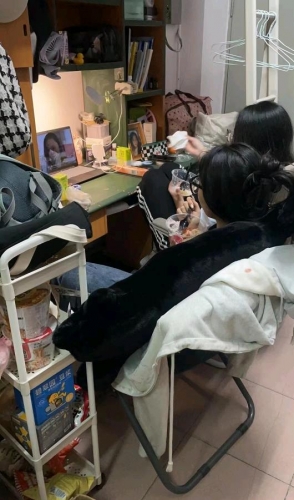萌萌兔兔的照片