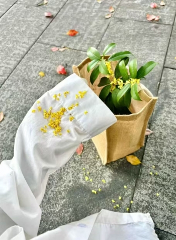 小月饼呢的照片