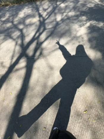 橘子树上的葡萄的照片