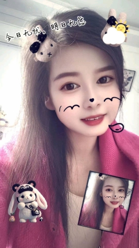 诺诺的照片
