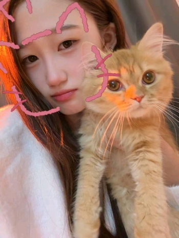 简单的梦的照片