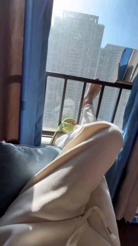 倩倩的微笑的照片
