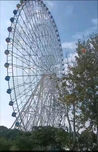听风看雨等你的照片