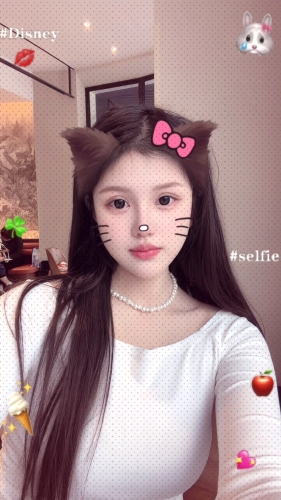 小海豚a的照片