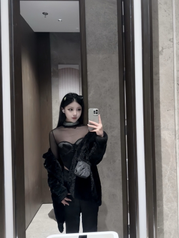 小海豚的照片