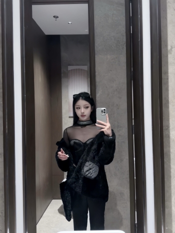 小海豚的照片