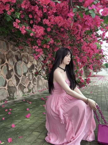 油炸小丸子的照片