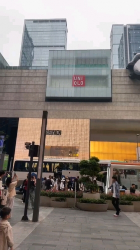 小兔子的照片
