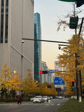 海归钢琴老师的照片
