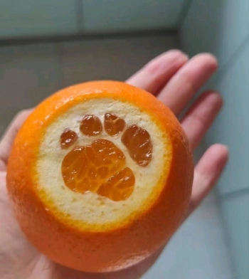 甜甜雪梨糕的照片