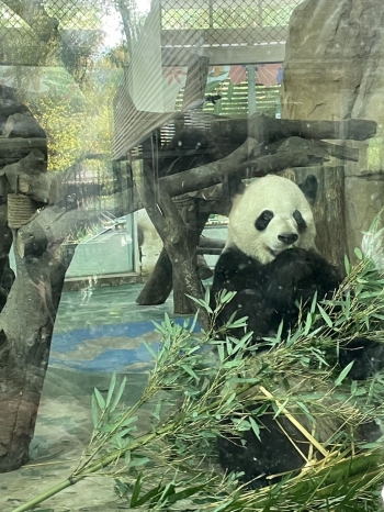 摆烂小鱼c562的照片