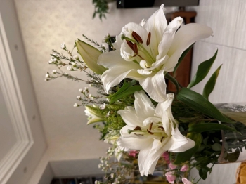 玉鱼欲的照片