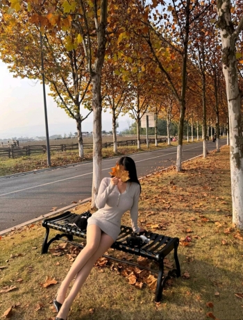 月季花开的照片
