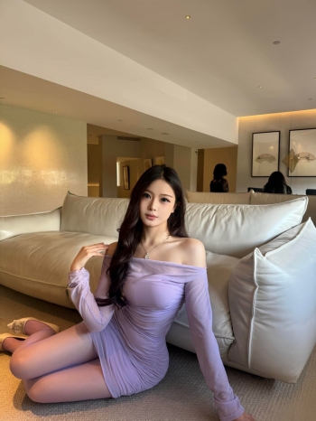 小海豚的照片