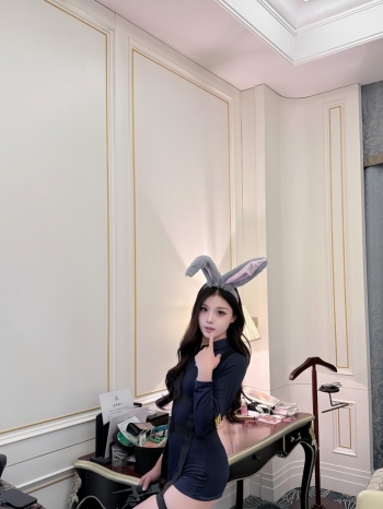 小海豚的照片