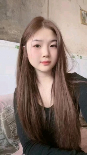 羞涩的木槿的照片