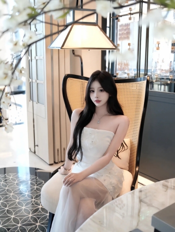 春天的燕子的照片