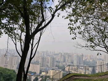 想去三亚看大海的照片