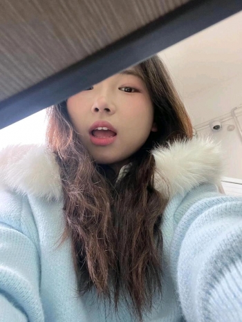 不吃不喝的鱼的照片