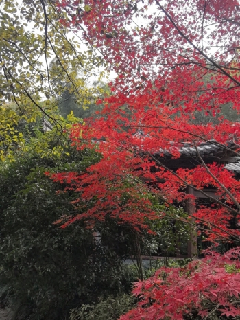 开心一加一的照片