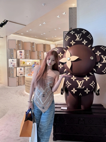 春天的燕子的照片