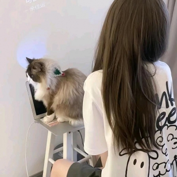 小米辣椒的照片