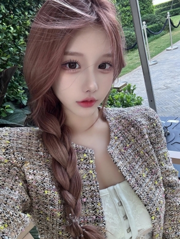 春天的燕子的照片