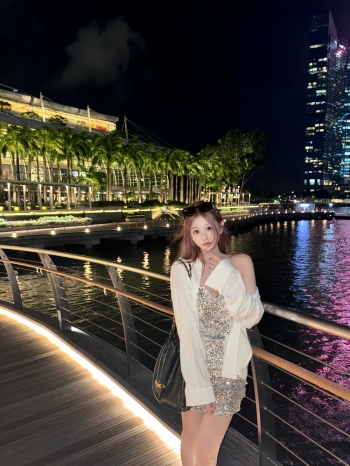 春天的燕子的照片