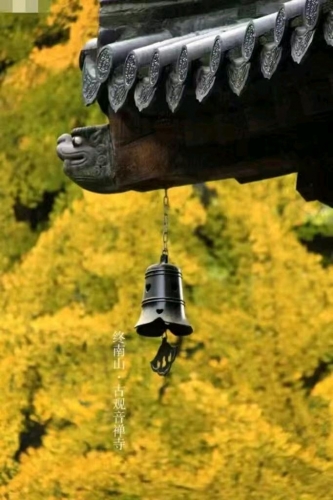 国富论Estelle的照片