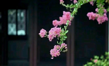 国富论Estelle的照片