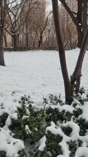 内心独白的照片