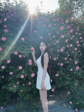 青椒炒肉的照片