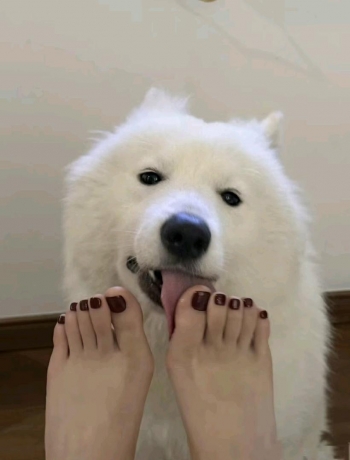 夏沫樱雨的照片